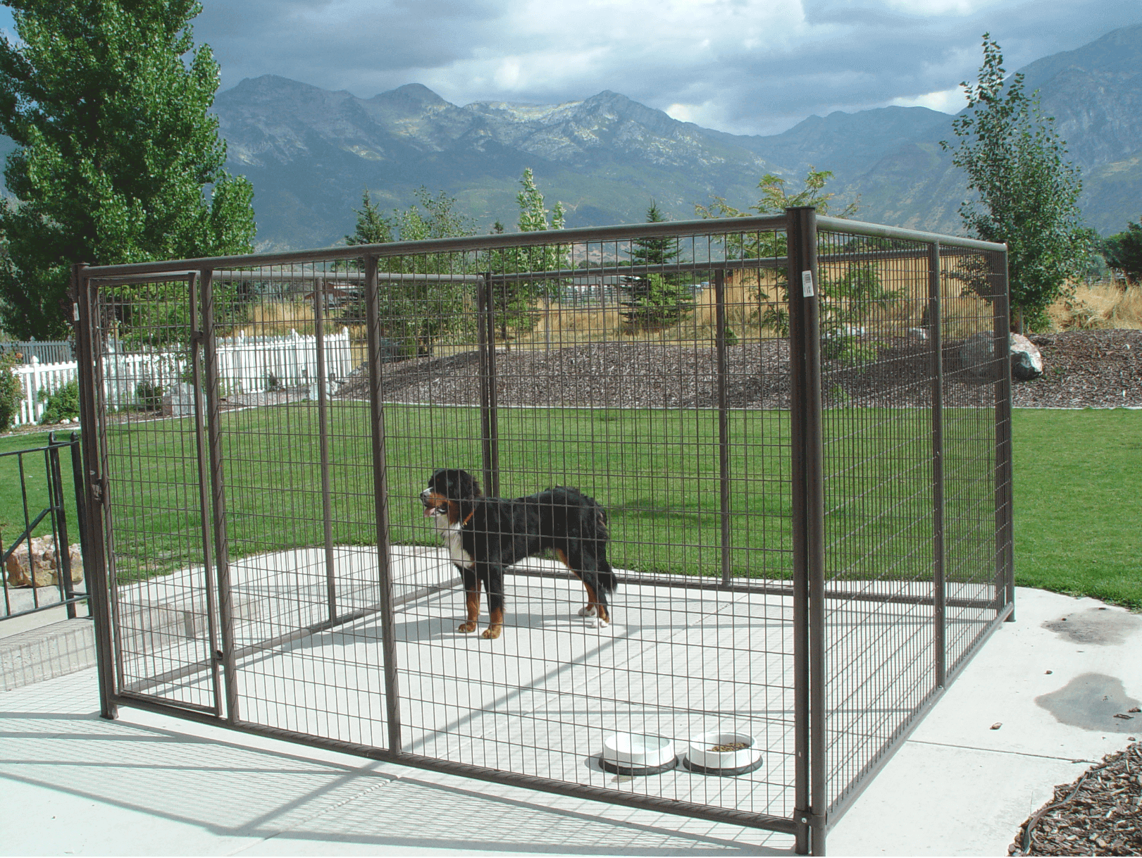 Dog Kennels