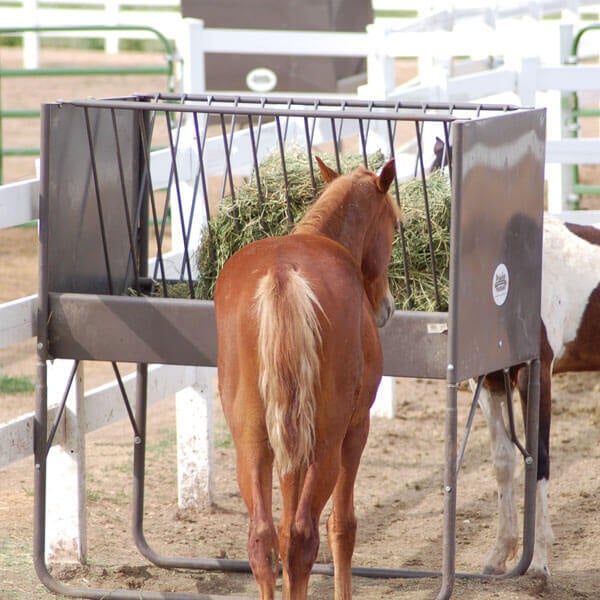 Five-foot V-Rack Horse Feeder