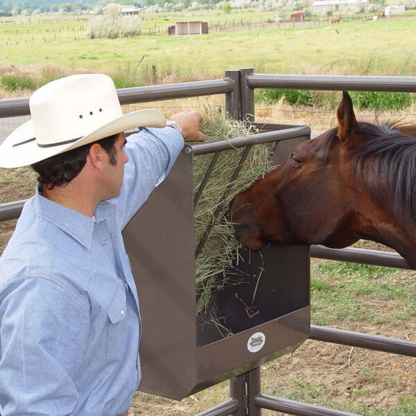 Horse Manger Feeder