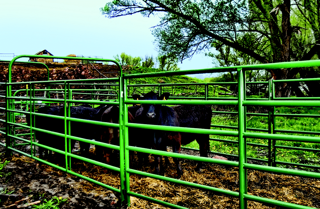 Rancher Panels