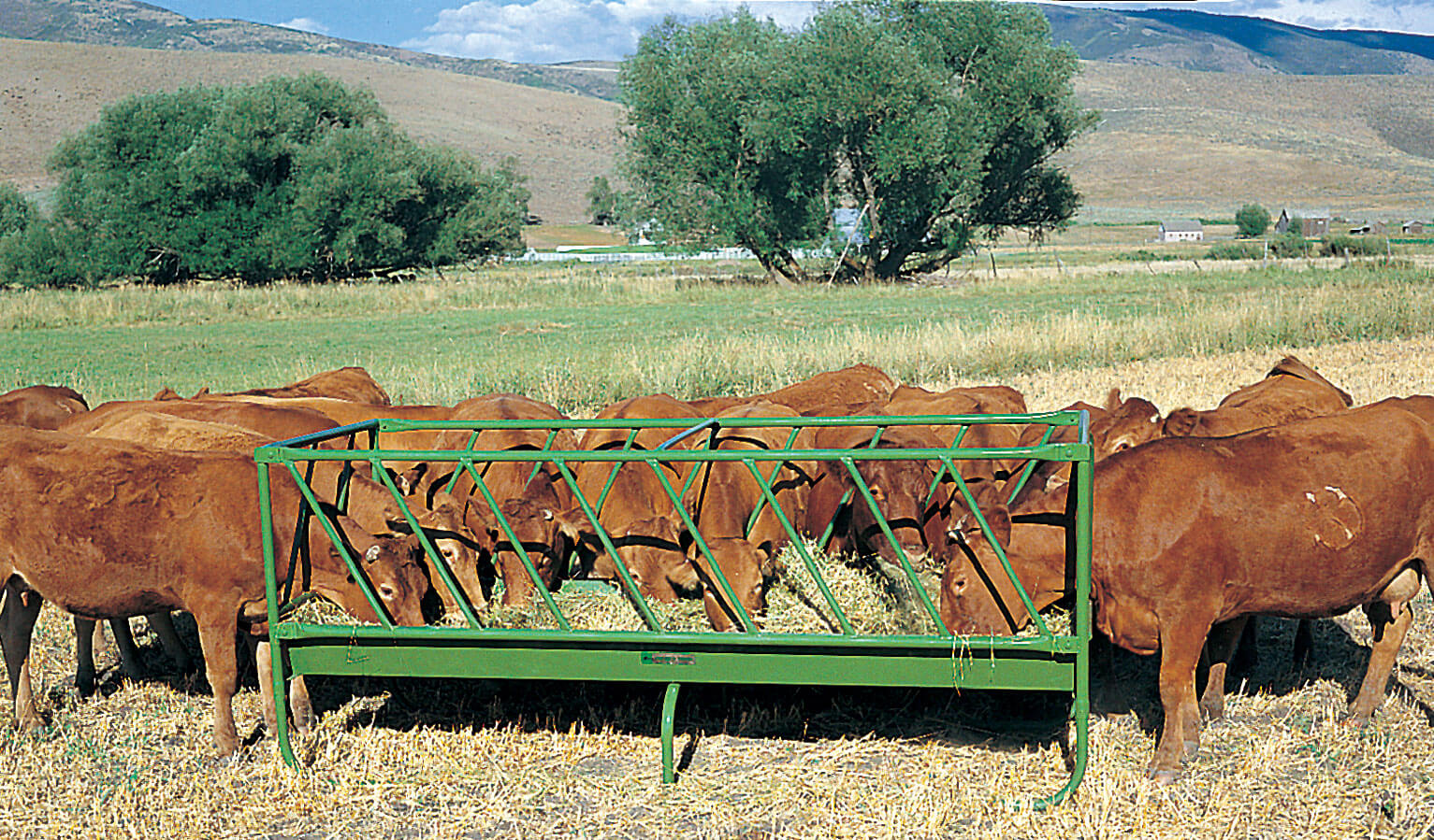 10-foot Slant Bar Rack Feeder