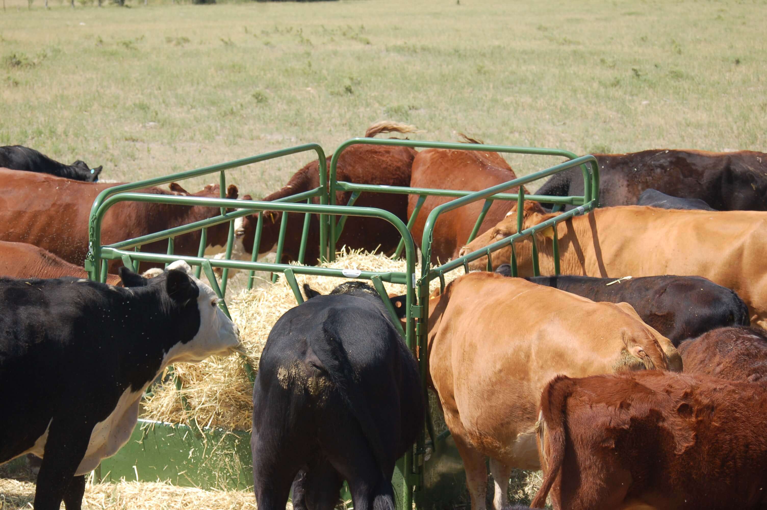 Square Bale Feeder